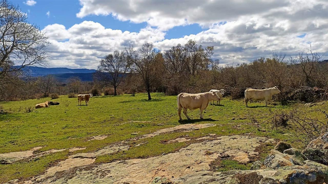 Casa Rural El Remolon Pinuecar Bagian luar foto