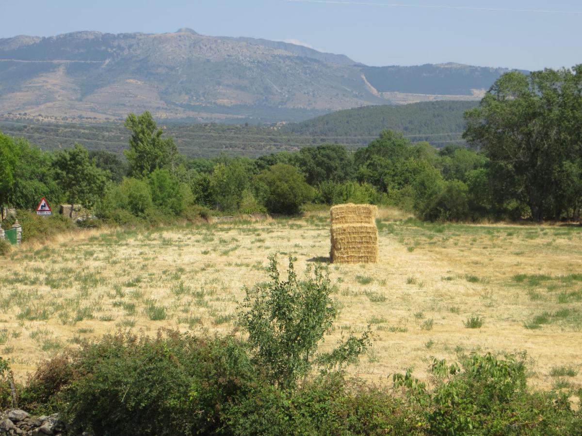 Casa Rural El Remolon Pinuecar Bagian luar foto
